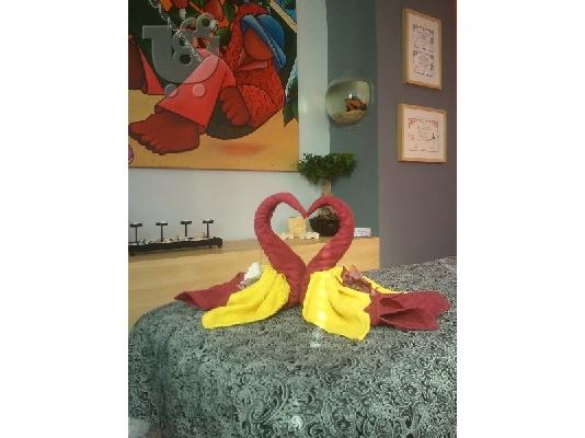oil massage-thai massage-foot massage 1h30=30euros!!!